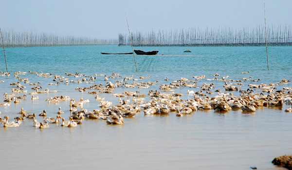DSC_5733_conew1.jpg