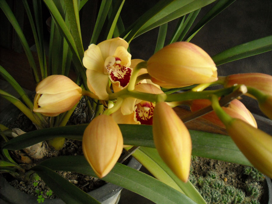 DSCN1662.JPG