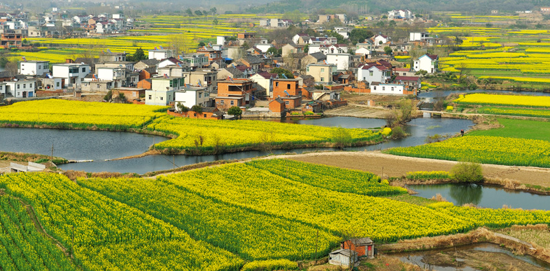 LCL_3465.jpg