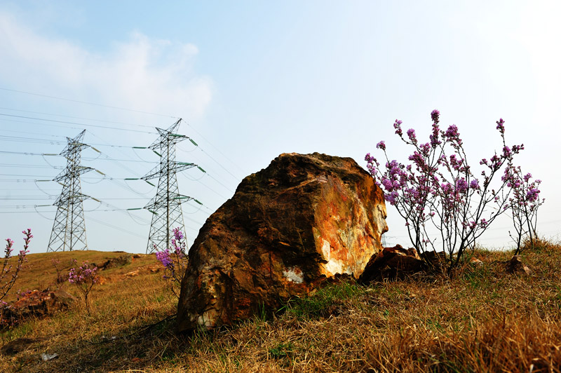 LCL_3495.jpg