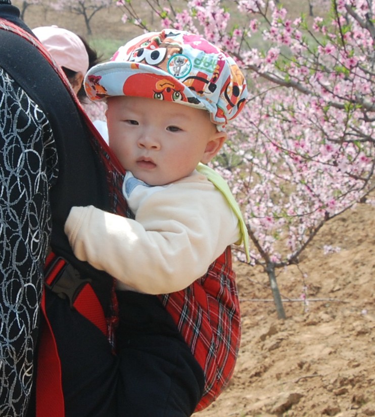   DSC_8062_conew1.jpg