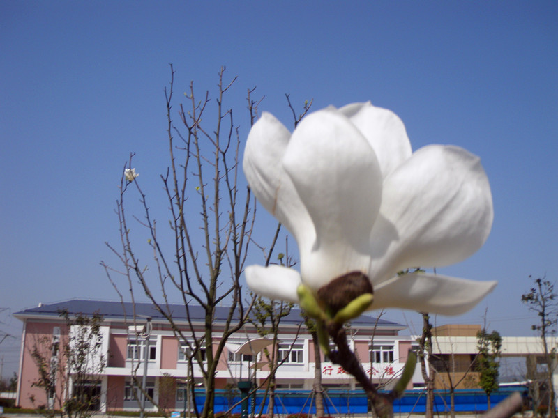 P1019427_.jpg