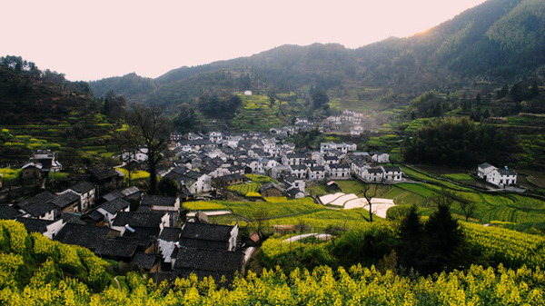 _DSC0264 (36)2.jpg