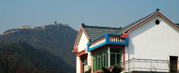 DSC_7312_conew1.JPG