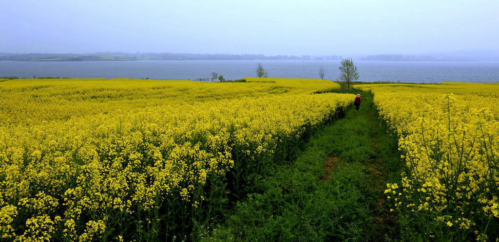 _DSC4114okok.jpg