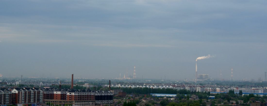 DSC06110 .jpg