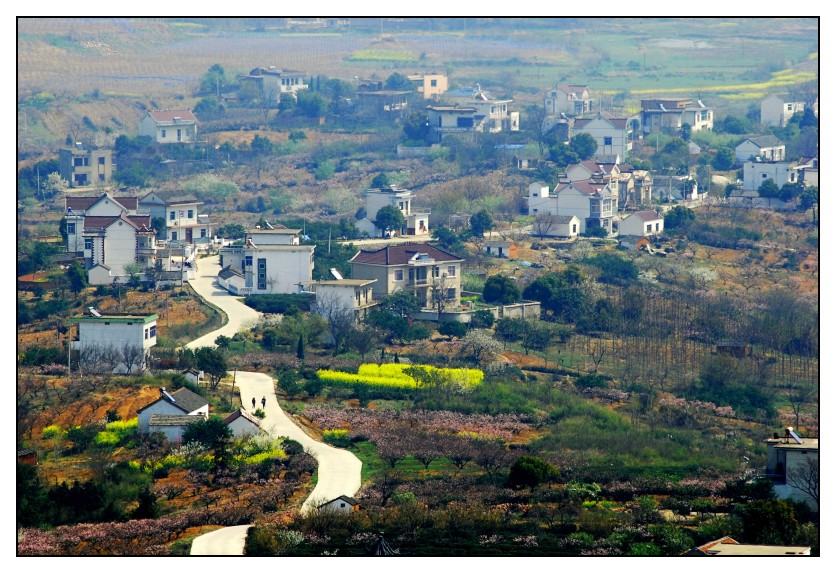 DSC_7394_conew2.jpg
