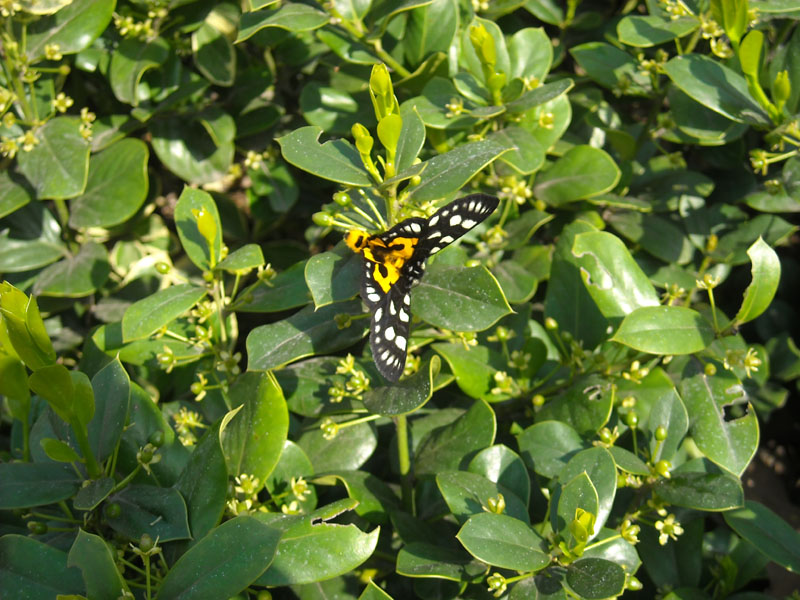 DSCN2695.JPG