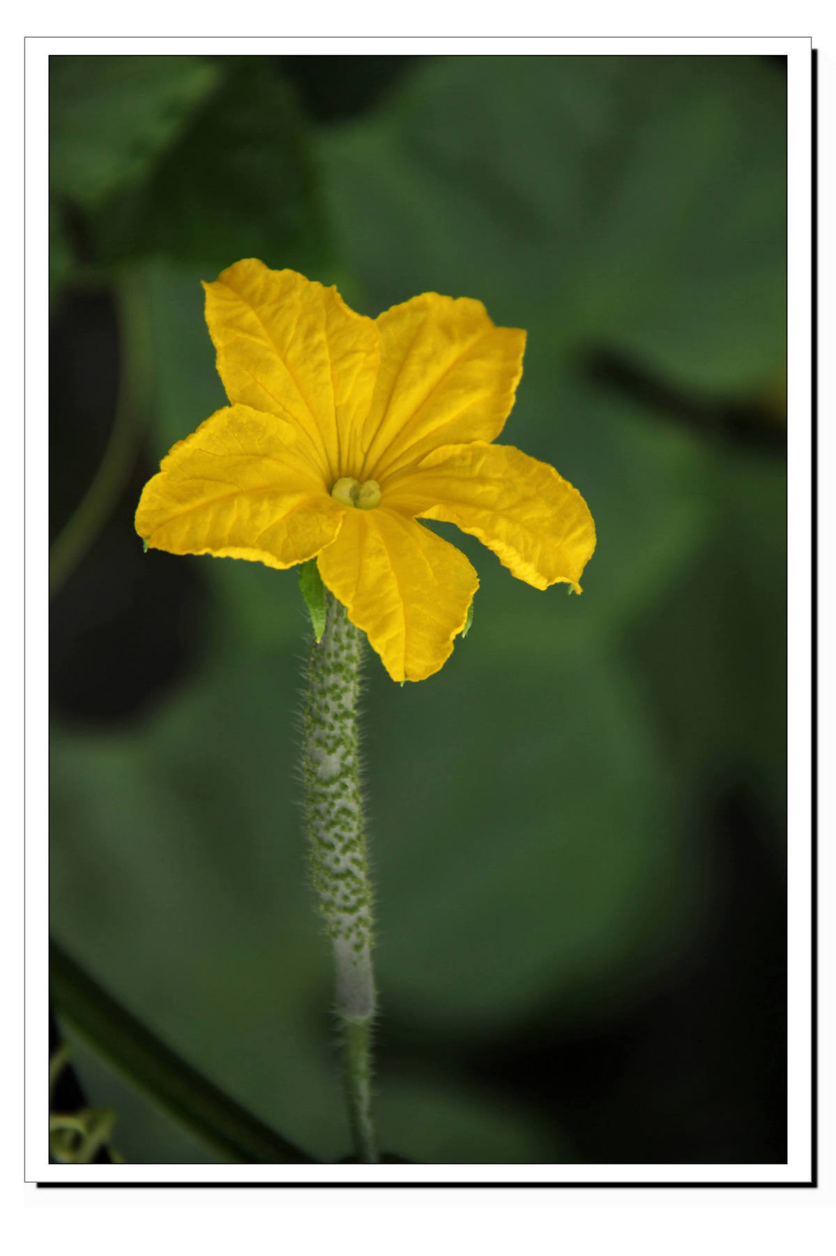Ƭ 019.jpg