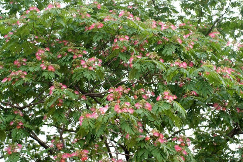 DSC06873.JPG