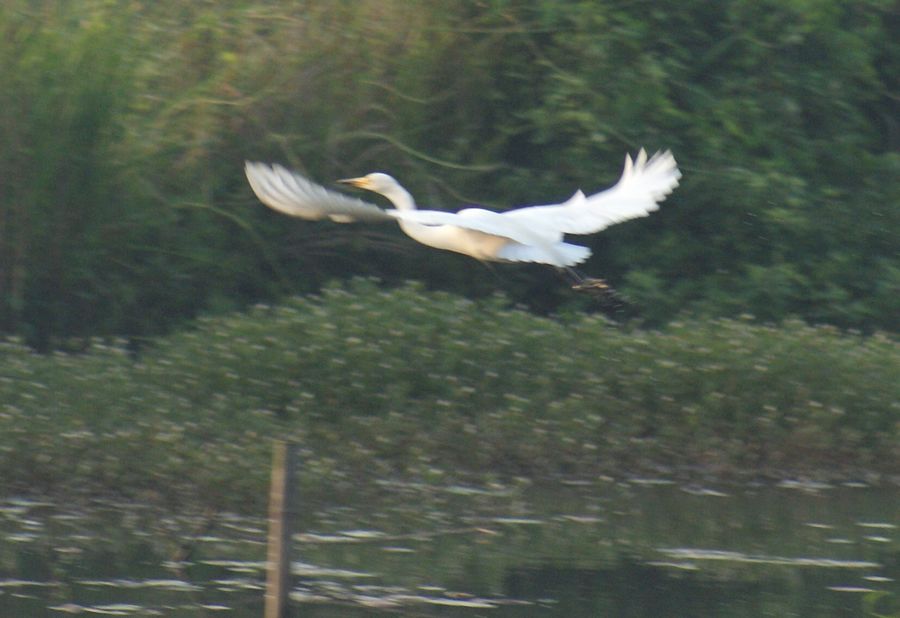 DSC07007.JPG
