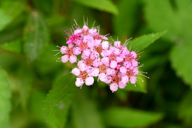 DSC08354.JPG