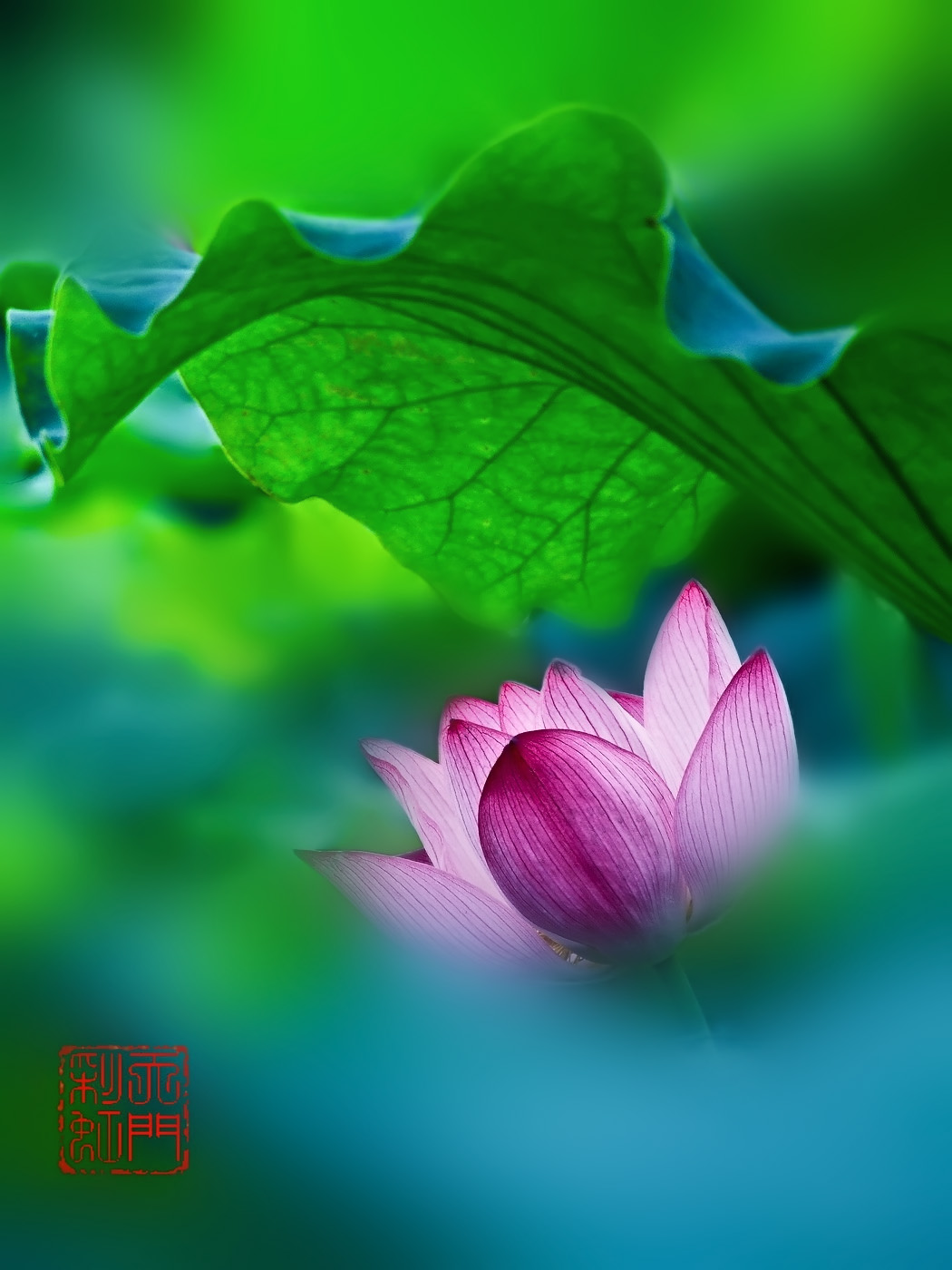 DSCF4732 _С.jpg