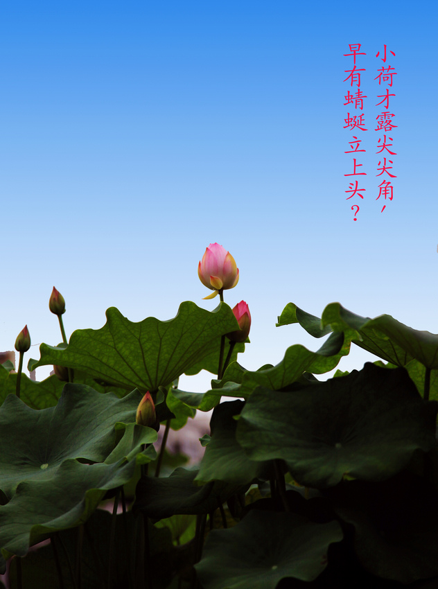 IMG_3399ok1.jpg