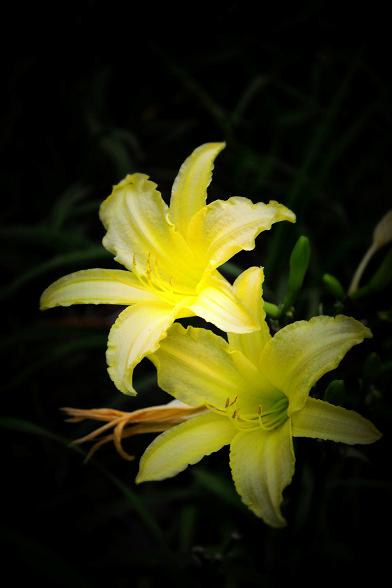 Ƭ 045.jpg