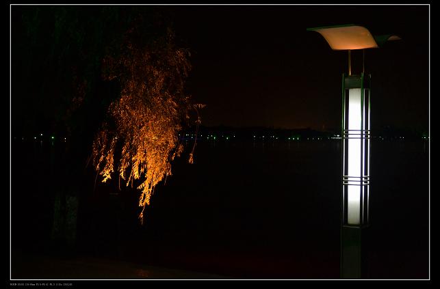  DSC_0024.JPG