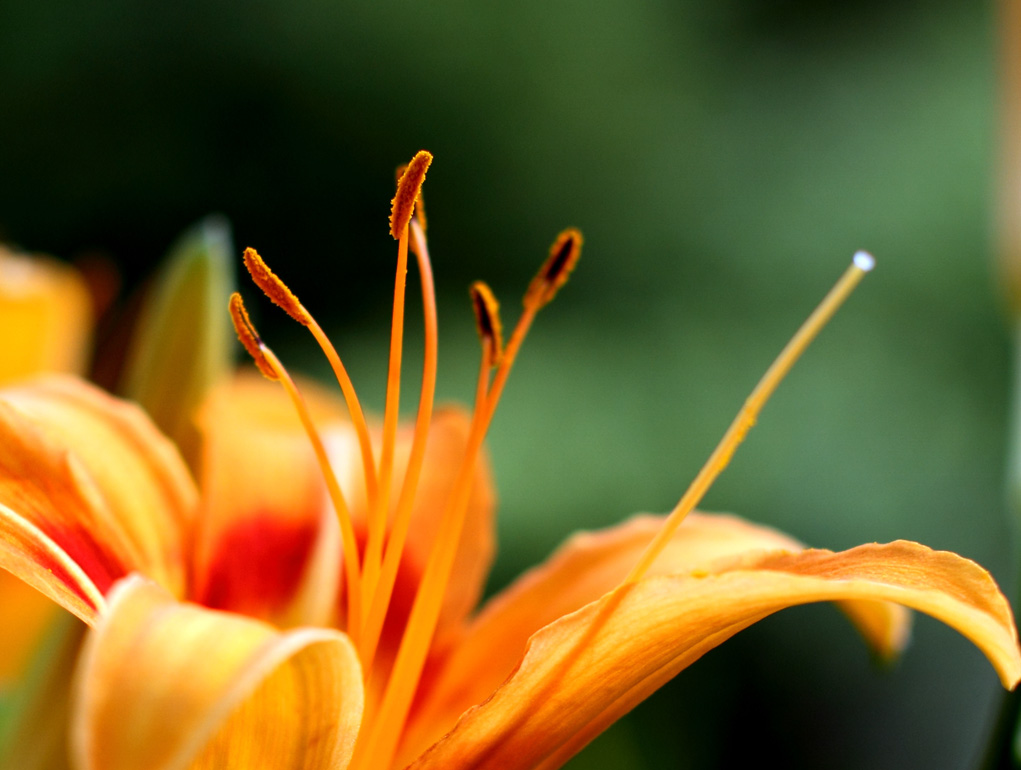 _MG_5993.JPG