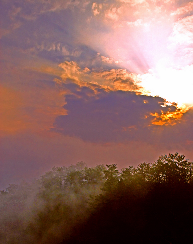 DSCF5029-1.jpg