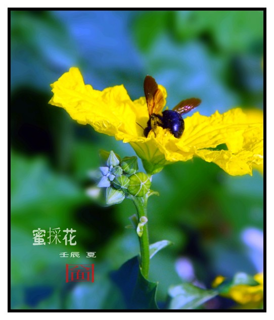  DSC_5554_conew2.jpg