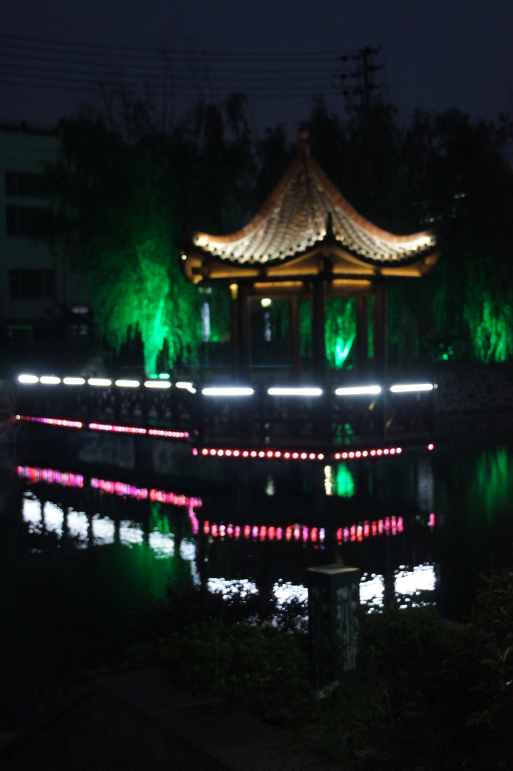 DSC06822.JPG