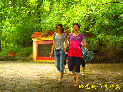 pic_9631___.jpg
