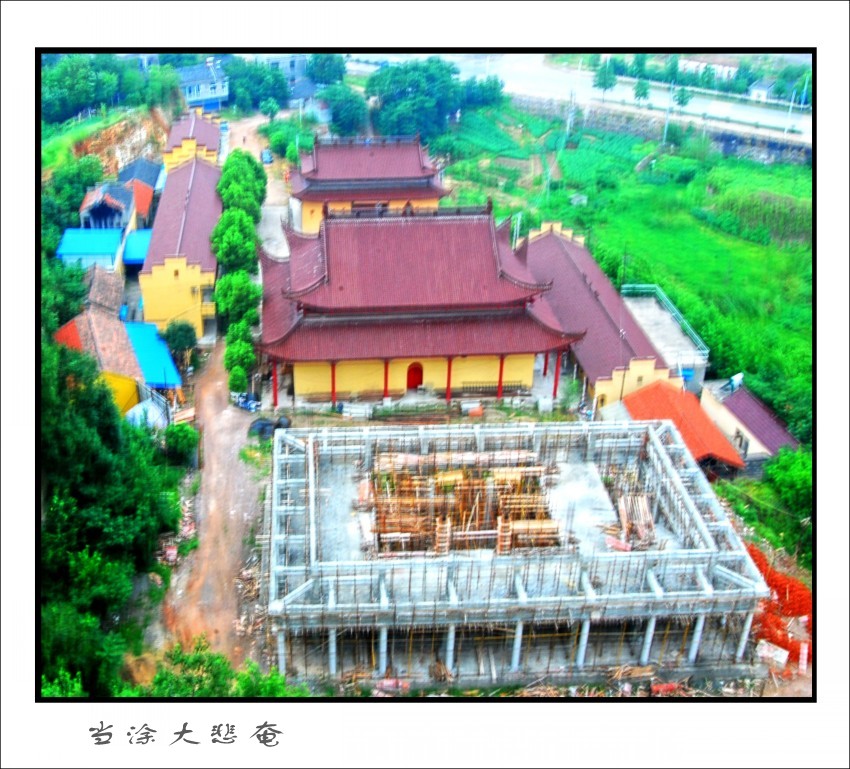 DSC_2100_conew3.JPG