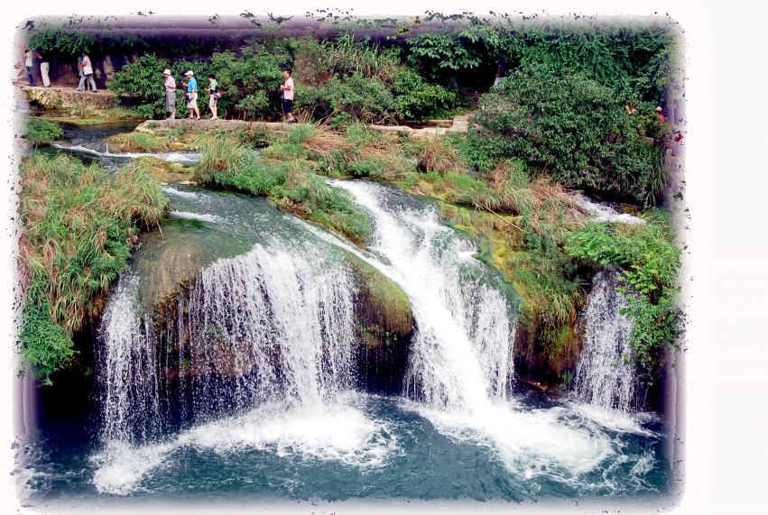 DSC_7441_conew1.JPG