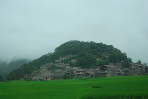 DSC_8607_conew1.JPG