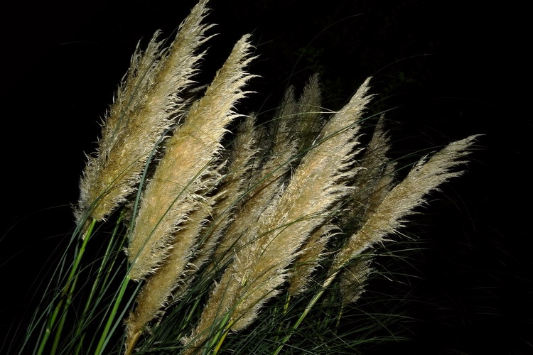 Ƭ 024.jpg
