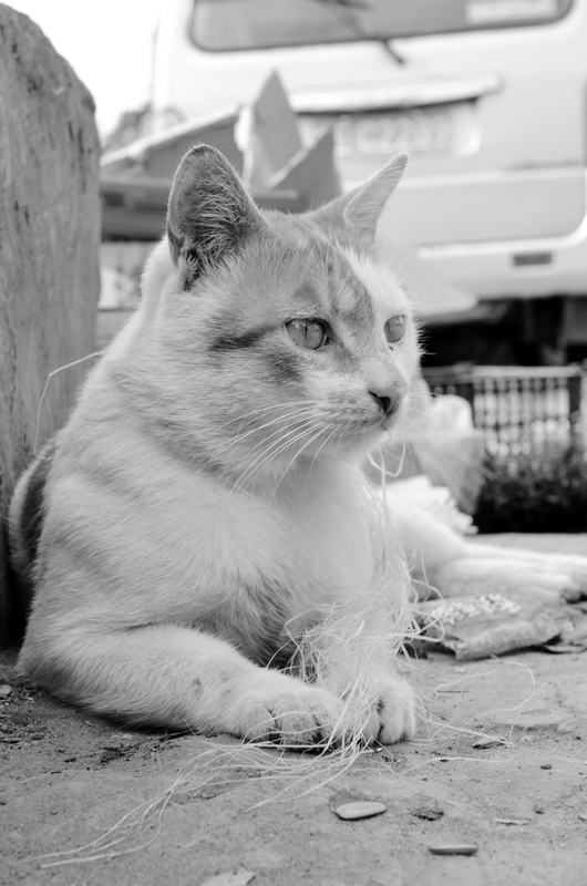 DSC_3880.jpg