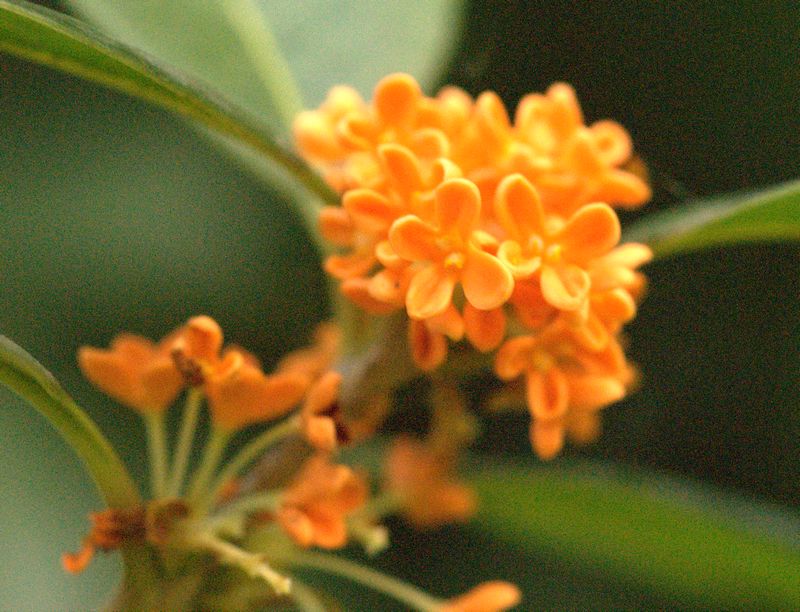 DSC09486.jpg
