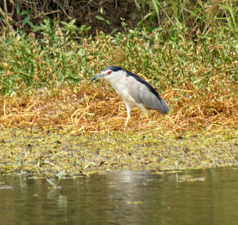 DSC09703.JPG