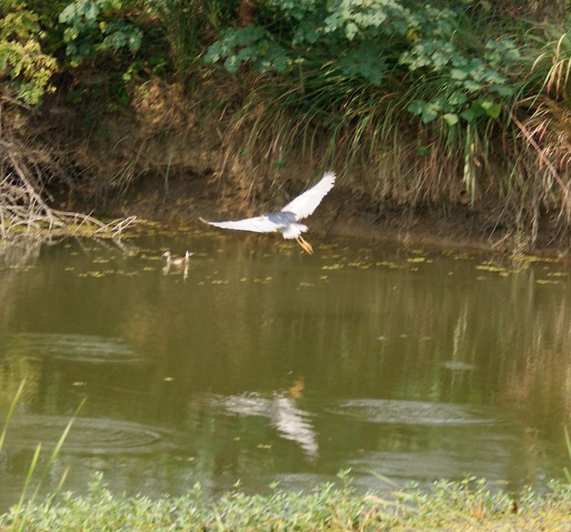 DSC09701.JPG