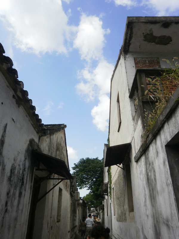 P8260388.jpg