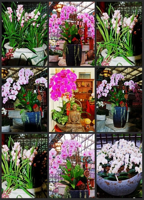 DSC_1061_conew4.JPG